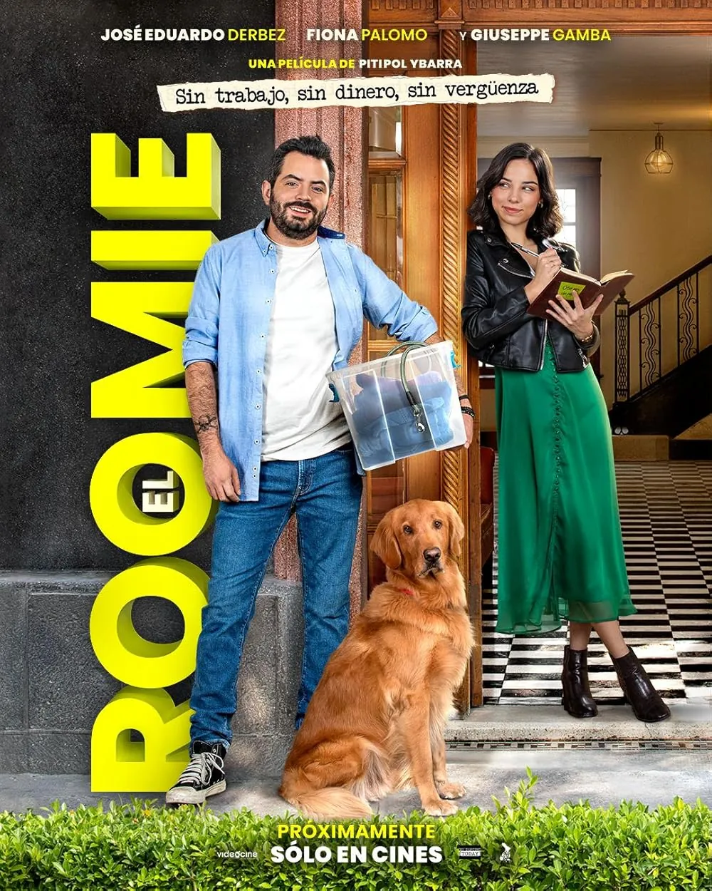 Cartel de El Roomie